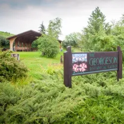 Georgeson Botanical Garden - Fairbanks