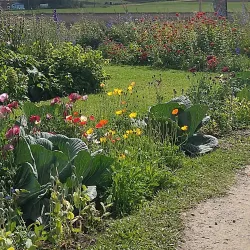 Georgeson Botanical Garden - Fairbanks