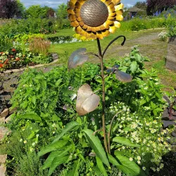 Georgeson Botanical Garden - Fairbanks