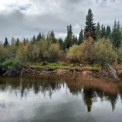 Riverboat Discovery - Fairbanks