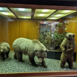 University of Alaska Museum of the North - Fairbanks