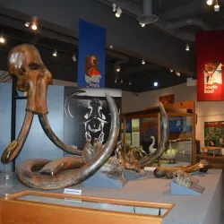 University of Alaska Museum of the North - Fairbanks