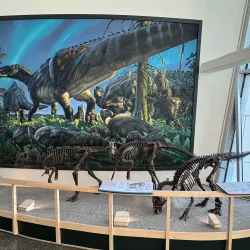 University of Alaska Museum of the North - Fairbanks