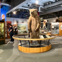 University of Alaska Museum of the North - Fairbanks
