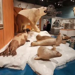 University of Alaska Museum of the North - Fairbanks