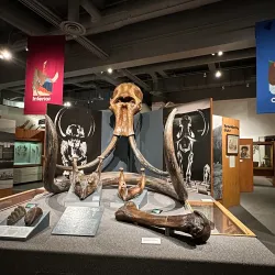 University of Alaska Museum of the North - Fairbanks