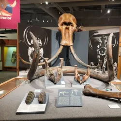 University of Alaska Museum of the North - Fairbanks