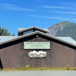 American Bald Eagle Foundation - Haines