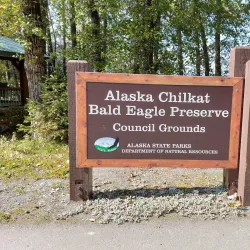 Chilkat Bald Eagle Preserve - Haines