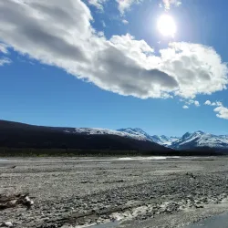 Chilkat Bald Eagle Preserve - Haines