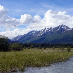 Chilkat River - Haines