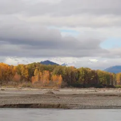 Chilkat River - Haines