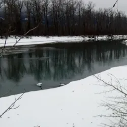 Chilkat River - Haines