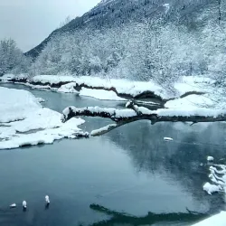 Chilkat River - Haines