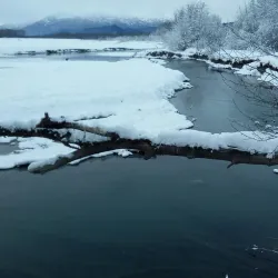 Chilkat River - Haines
