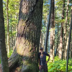 Chilkat State Park - Haines