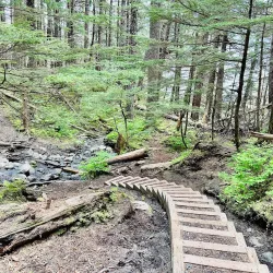 Chilkat State Park - Haines