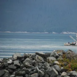 Haines Harbor - Haines