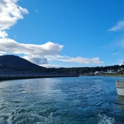 Haines Harbor - Haines