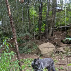 Kroschel Films Wildlife Center - Haines