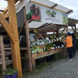 Homer Farmers Market - Homer