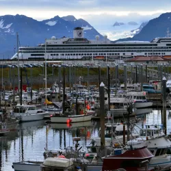 Homer Harbor - Homer