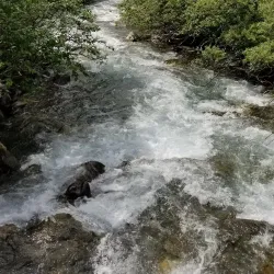 Perseverance Trail - Juneau