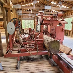 Alaska Rainforest Sanctuary - Ketchikan