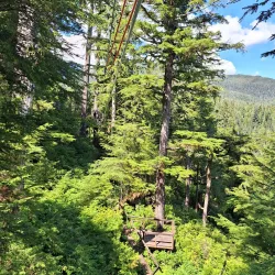 Alaska Rainforest Sanctuary - Ketchikan