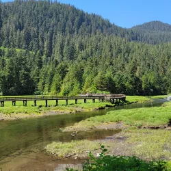 Alaska Rainforest Sanctuary - Ketchikan