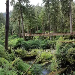 Alaska Rainforest Sanctuary - Ketchikan