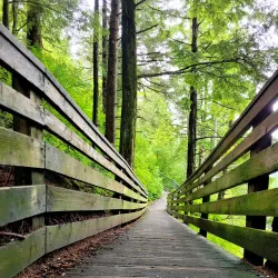 Creek Street - Ketchikan
