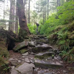 Deer Mountain Trail - Ketchikan