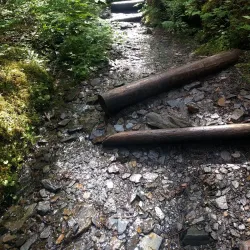 Deer Mountain Trail - Ketchikan