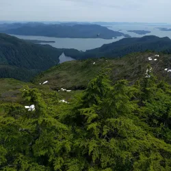 Deer Mountain Trail - Ketchikan
