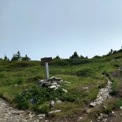Deer Mountain Trail - Ketchikan