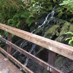 Deer Mountain Trail - Ketchikan