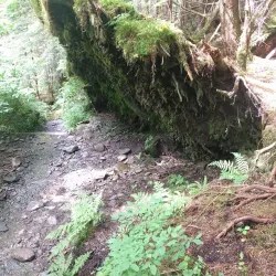 Deer Mountain Trail - Ketchikan
