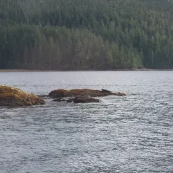 Misty Fjords National Monument - Ketchikan