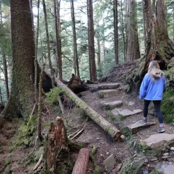 Rainbird Art Museum - Ketchikan