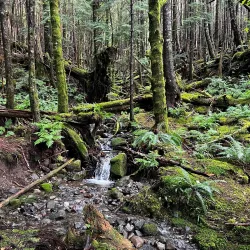 Rainbird Art Museum - Ketchikan