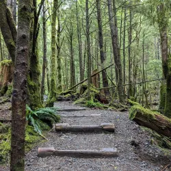 Rainbird Art Museum - Ketchikan
