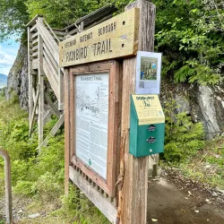 Rainbird Art Museum - Ketchikan