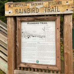 Rainbird Art Museum - Ketchikan