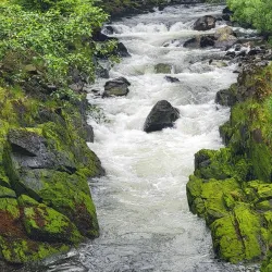 Tongass Historical Museum - Ketchikan