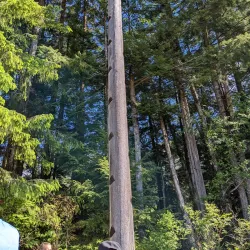 Totem Bight State Historical Park - Ketchikan