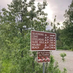 Alaska Coastal Wildlife Viewing - Ninilchik