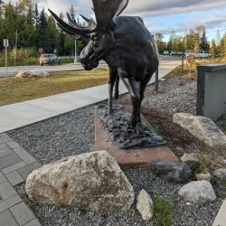 Kenai National Wildlife Refuge (nearby) - Ninilchik