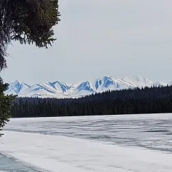 Kenai National Wildlife Refuge (nearby) - Ninilchik
