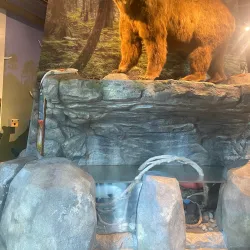 Kenai National Wildlife Refuge (nearby) - Ninilchik